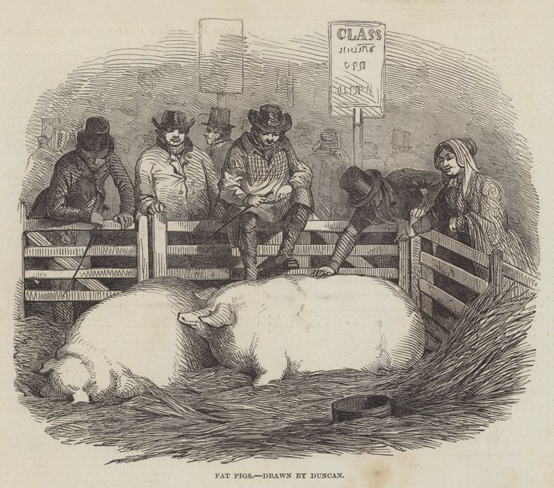 The Smithfield Club Cattle Show av English School