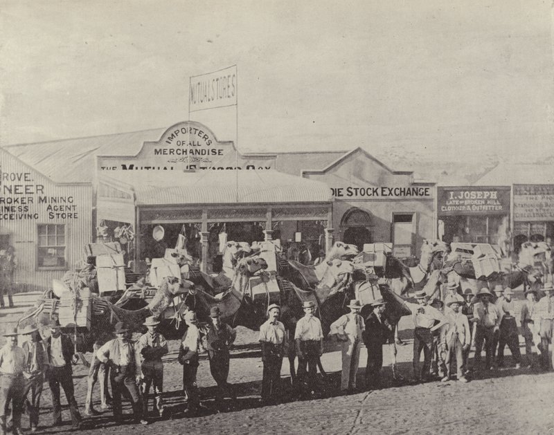 Et kameltog, Coolgardie, Vest-Australia av English Photographer