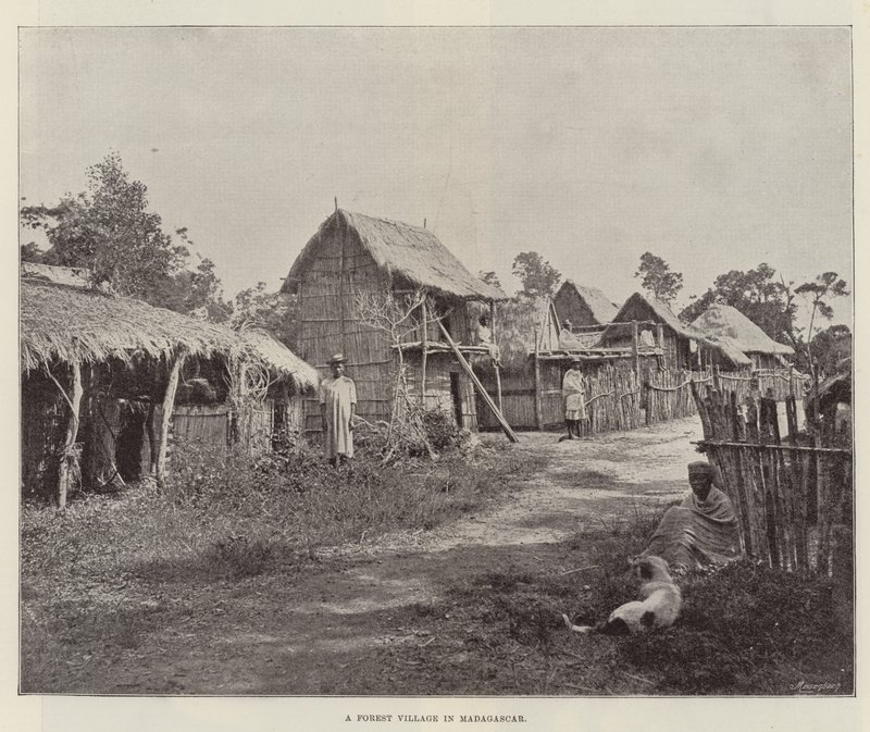 En skogslandsby på Madagaskar av English Photographer