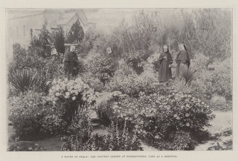 A Haven of Peace, klosterhagen i Bloemfontein, brukt som sykehus av English Photographer