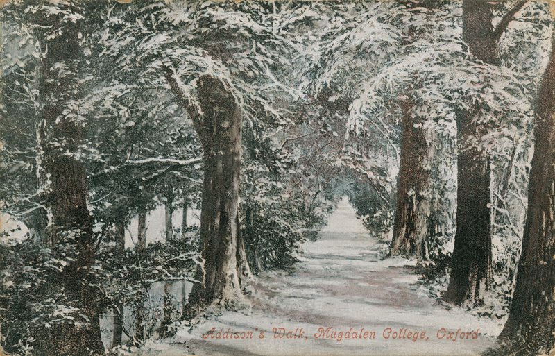 Addisons Walk, Magdalen College, Oxford. Postkort sendt i 1913. av English Photographer