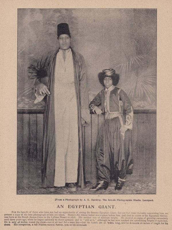 En egyptisk gigant (s/hvitt bilde) av English Photographer