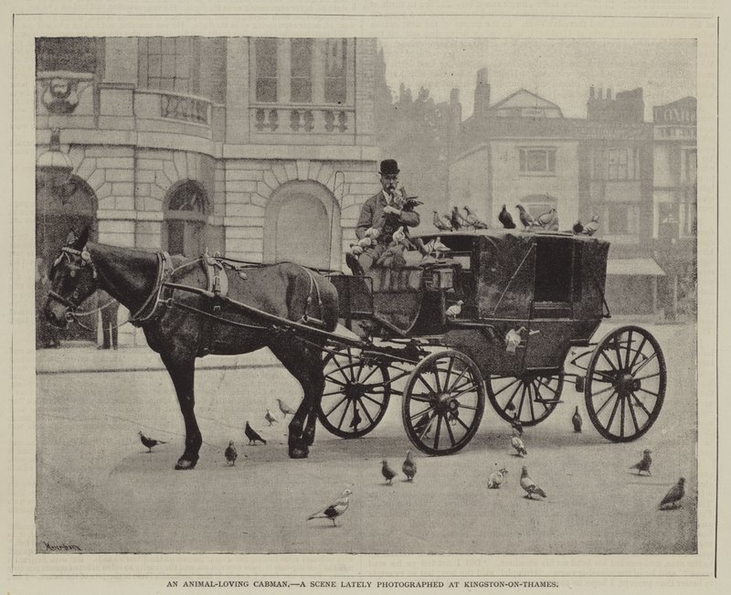 En dyreelskende drosjemann, en scene nylig fotografert ved Kingston-on-Thames av English Photographer