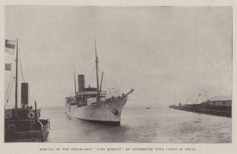 Ankomst av Steam-Ship Port Morant til Avonmouth med last av frukt av English Photographer
