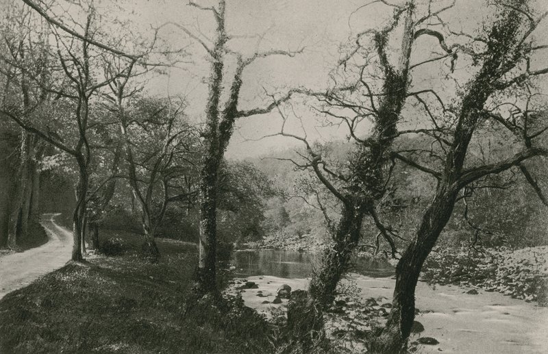Bolton Woods av English Photographer