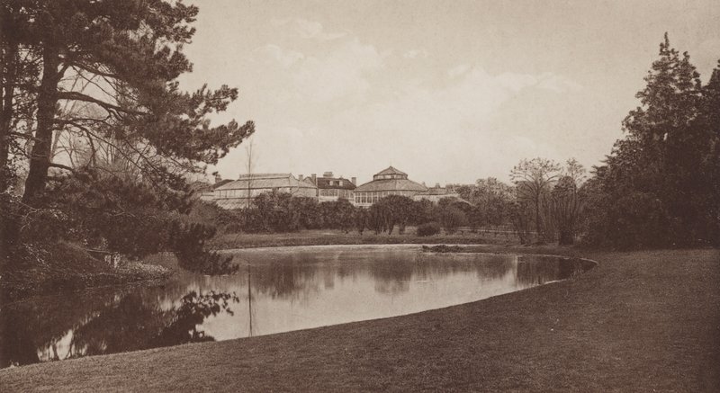 Botanic Gardens, Cambridge (s/hvitt bilde) av English Photographer