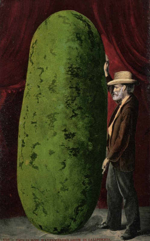 Kalifornisk vannmelon (fargebilde) av English Photographer