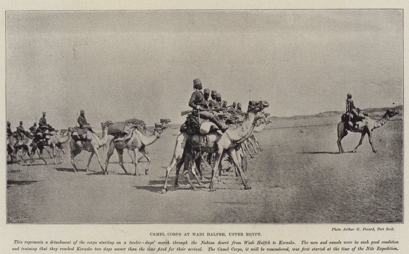 Camel Corps ved Wadi Halfeh, Øvre Egypt av English Photographer