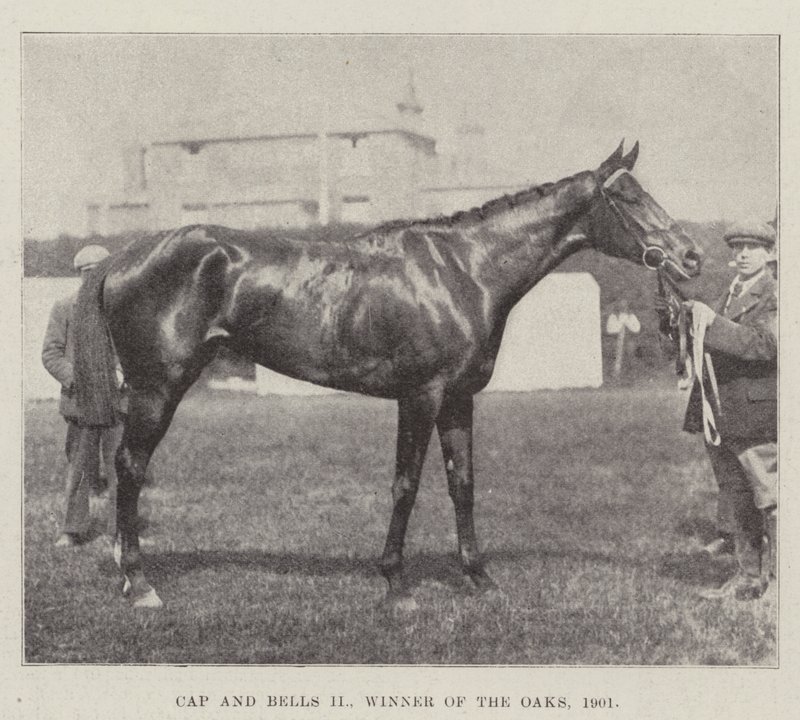 Cap and Bells II, Vinner av Oaks, 1901 av English Photographer
