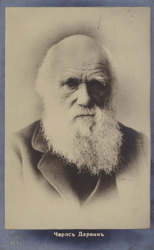 Charles Darwin (1809-1882), engelsk naturforsker av English Photographer