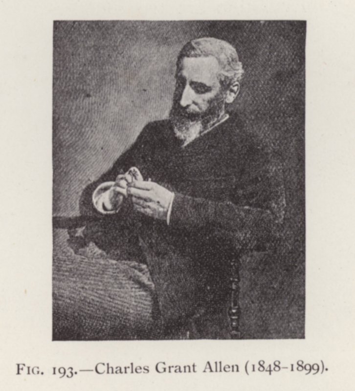 Charles Grant Allen (1848-1899), portrett (s/hvitt-bilde) av English Photographer