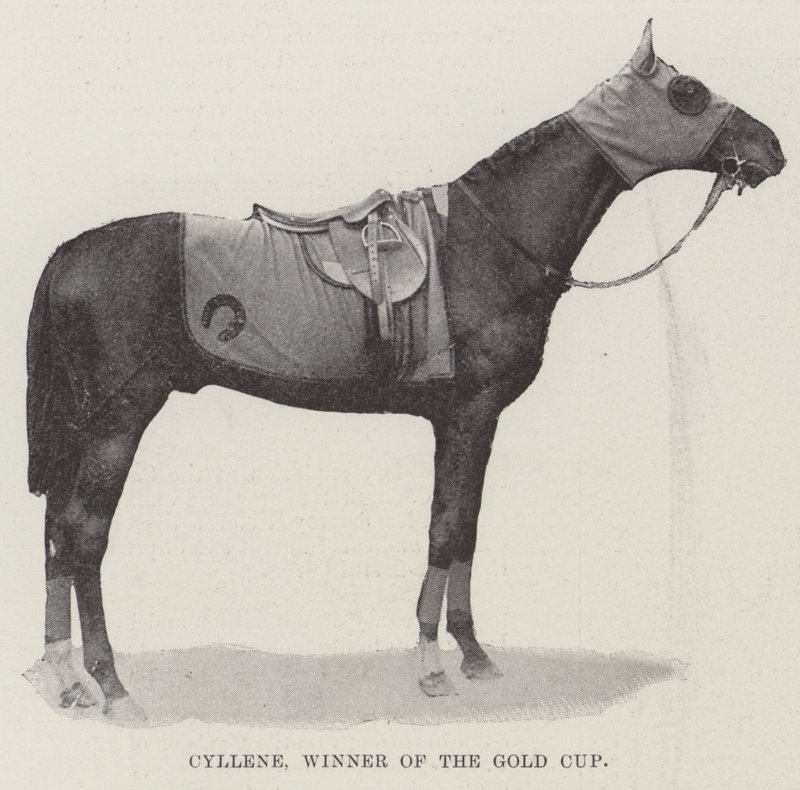 Cyllene, vinner av Gold Cup av English Photographer