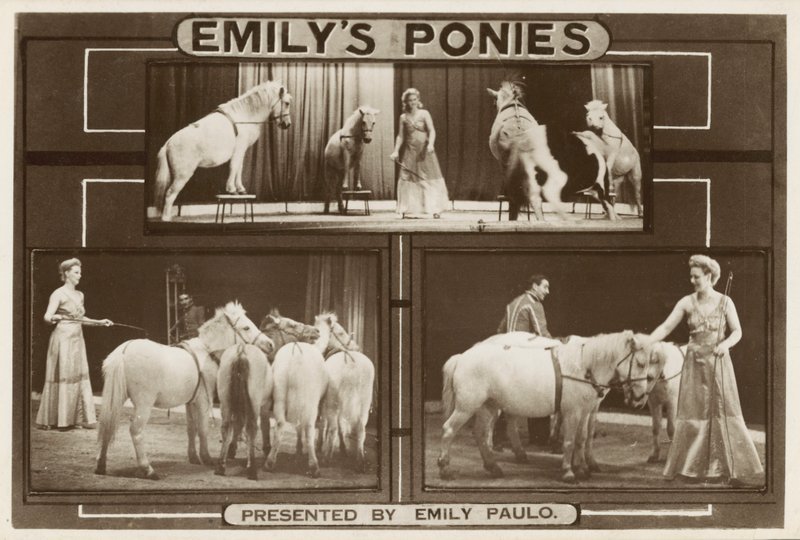 Emily Paulo og hennes utøvende trente ponnier (s/hv-bilde) av English Photographer