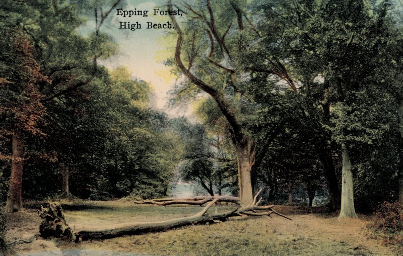 Epping Forest, High Beach (bilde) av English Photographer