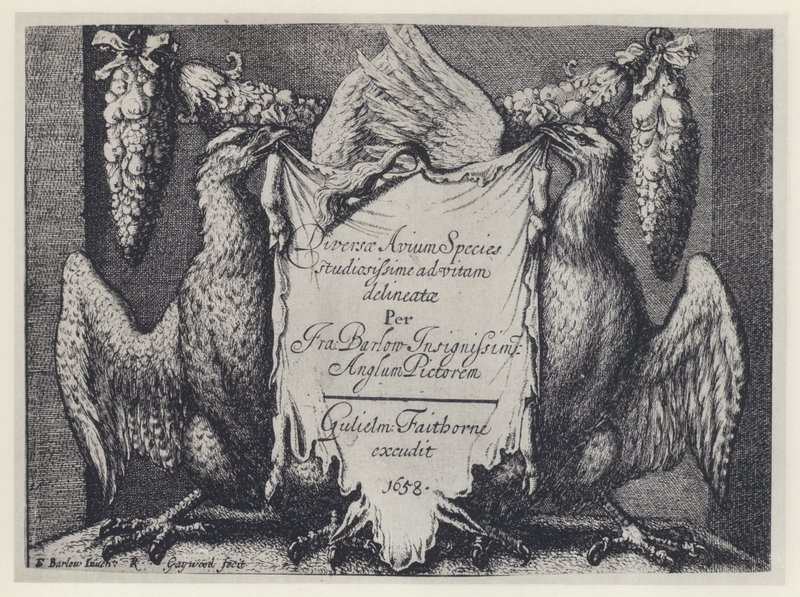 F Barlow, Diversae avium-arter, G Faithorne 1658 (s/hvitt-foto) av English Photographer
