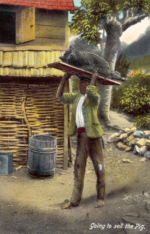 Skal selge grisen, Jamaica (fargebilde) av English Photographer