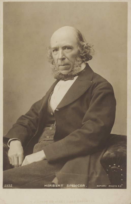 Herbert Spencer (1820-1903), engelsk filosof, politisk teoretiker, biolog og sosiolog av English Photographer