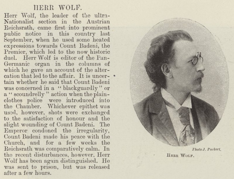 Mr Wolf av English Photographer