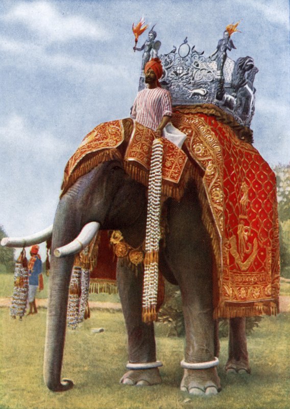Det uminnelige India: Dets farger og magi (fargefoto) av English Photographer