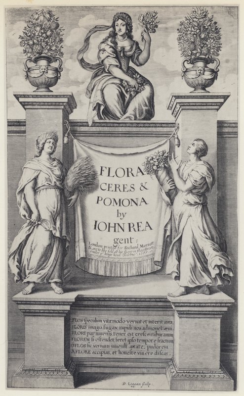 J Rea, Flora, Ceres og Pomona, R Marriott 1665 (s/hvitt-bilde) av English Photographer