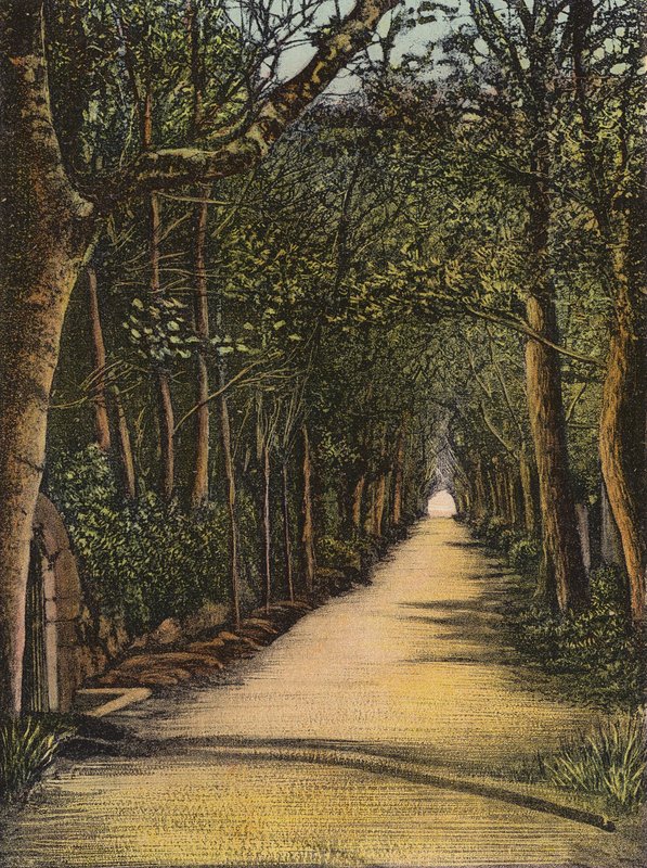 Trøye: Vinchelez Lane (farget bilde) av English Photographer