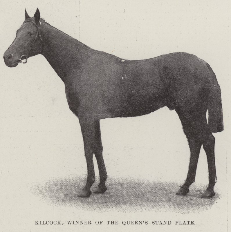 Kilcock, vinner av Queens Stand Plate av English Photographer