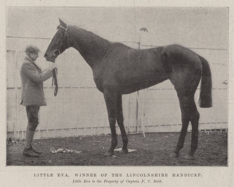 Lille Eva, vinner av Lincolnshire Handicap av English Photographer