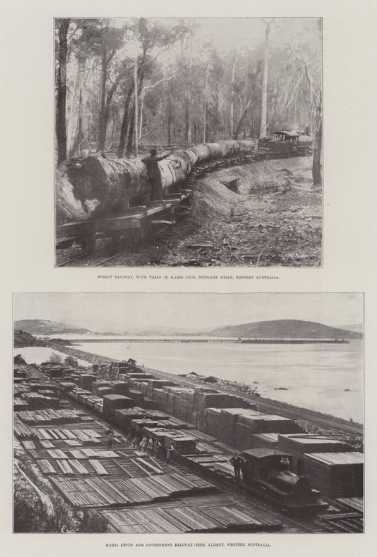 Logging i Australia av English Photographer