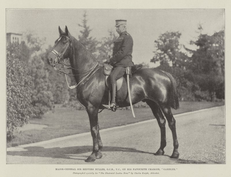 Generalmajor Sir Redvers Buller, GCB, VC, på sin favorittlader, Gambler av English Photographer