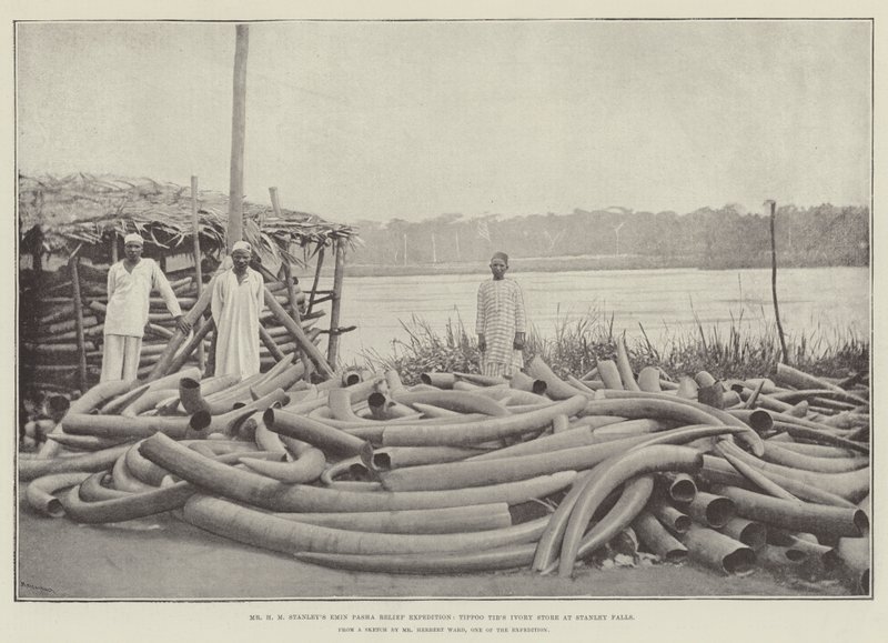 Mr H M Stanleys Emin Pasha Relief Expedition, Tippoo Tibs Ivory Store ved Stanley Falls av English Photographer