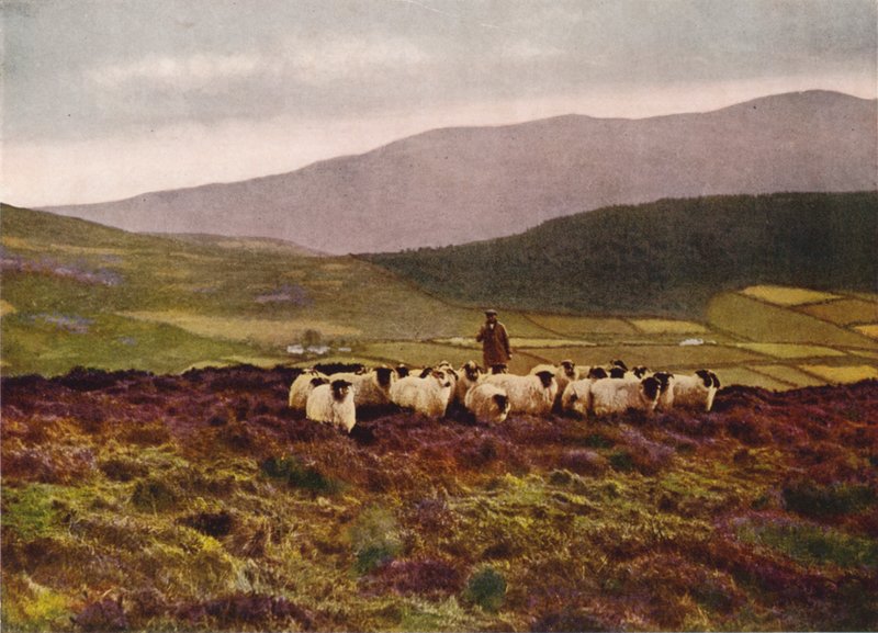 På fjellene i Mourne, County Down (fargefoto) av English Photographer