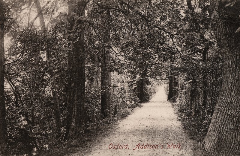 Oxford, Addison's Walk (s/hvitt bilde) av English Photographer