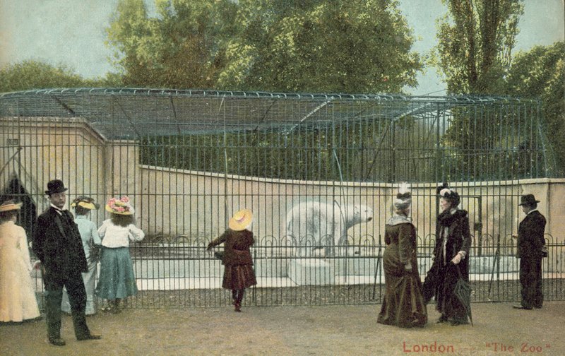 Folk som besøker isbjørninnhegningen i London Zoo (bilde) av English Photographer