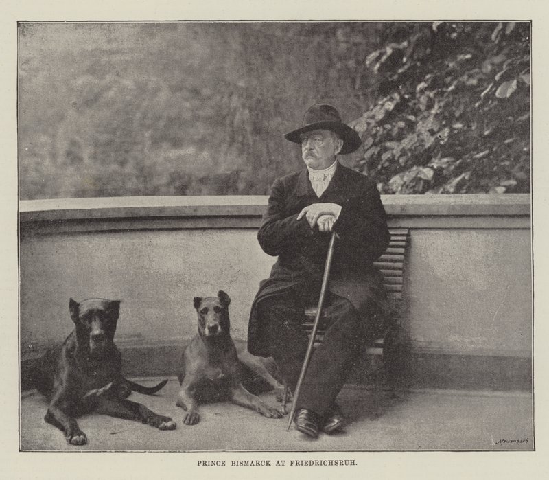 Prins Bismarck ved Friedrichsruh av English Photographer