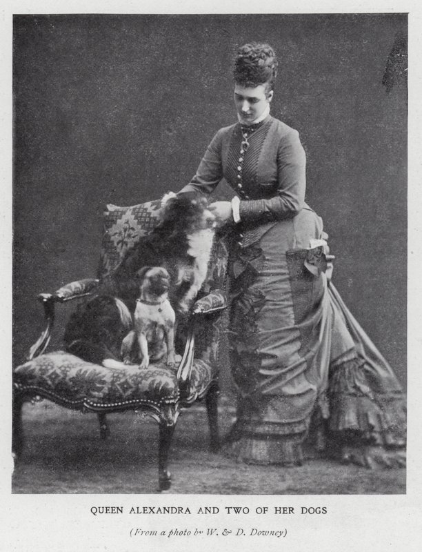 Dronning Alexandra og to av hundene hennes (s/hvitt bilde) av English Photographer