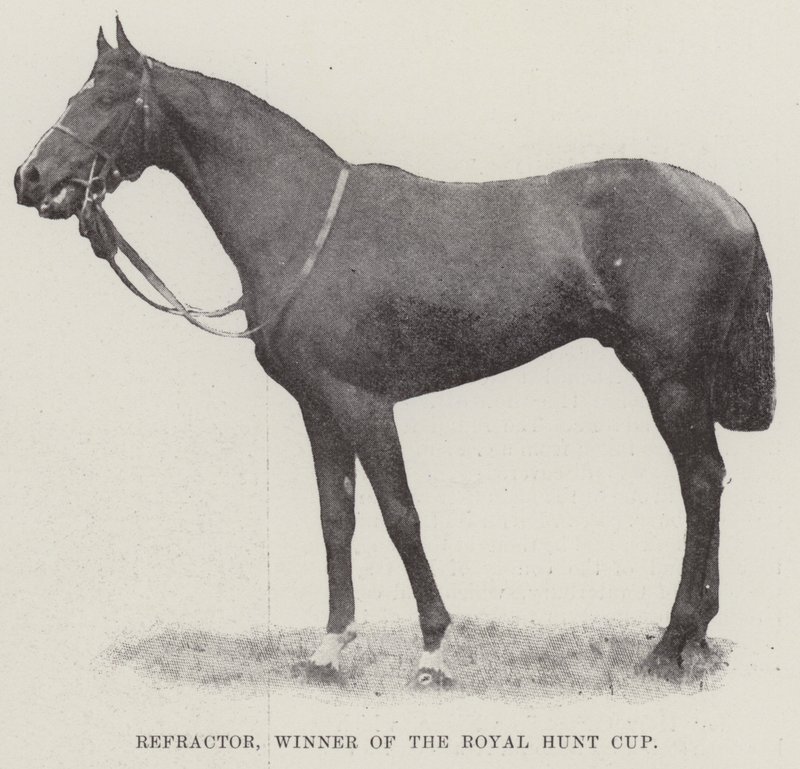 Refractor, vinner av Royal Hunt Cup av English Photographer