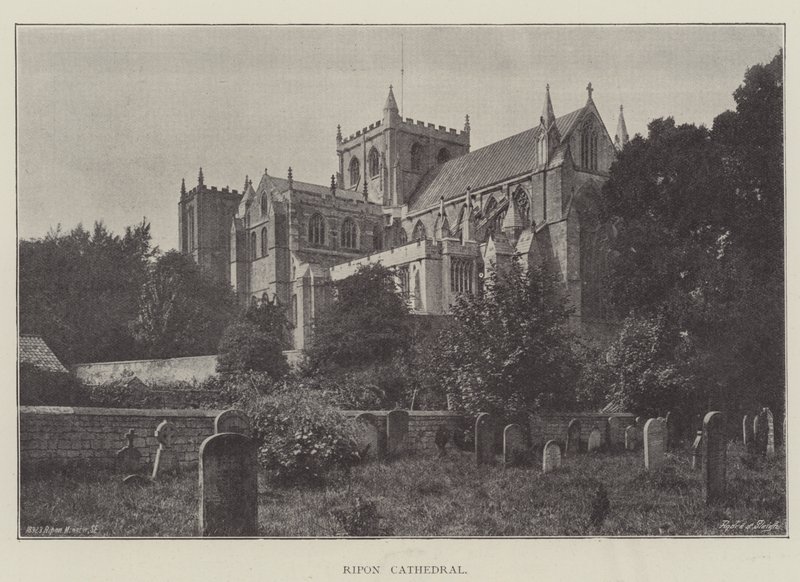 Ripon katedral av English Photographer
