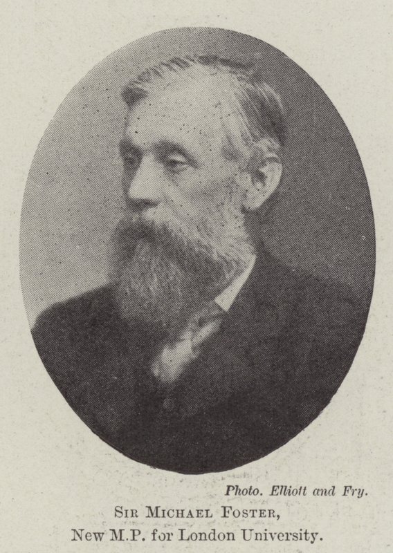 Sir Michael Foster, ny MP for London University av English Photographer