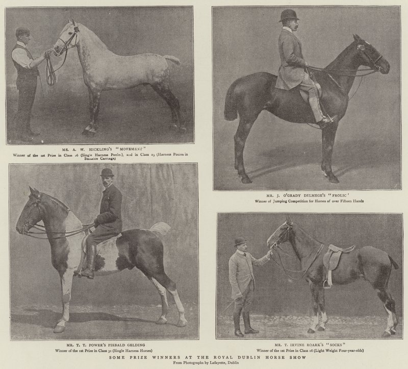 Noen prisvinnere på Royal Dublin Horse Show av English Photographer