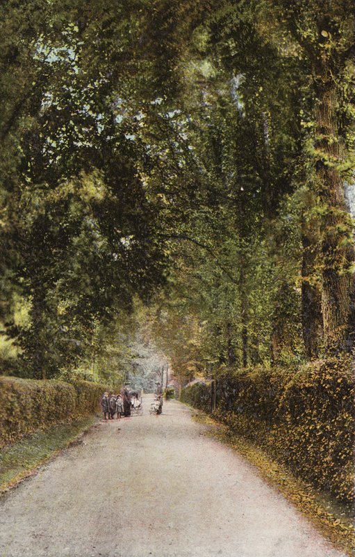 Spencer Road, Ryde av English Photographer