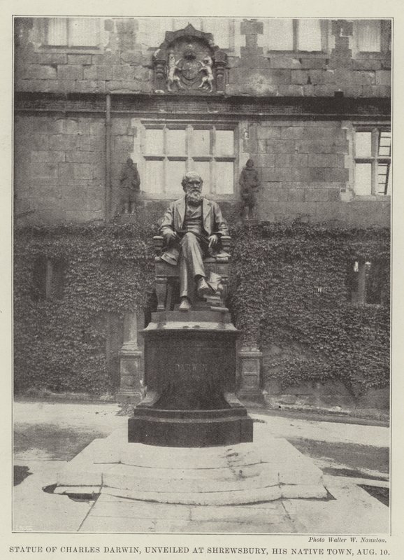 Statue av Charles Darwin, avduket i Shrewsbury, hans fødeby, 10. august av English Photographer