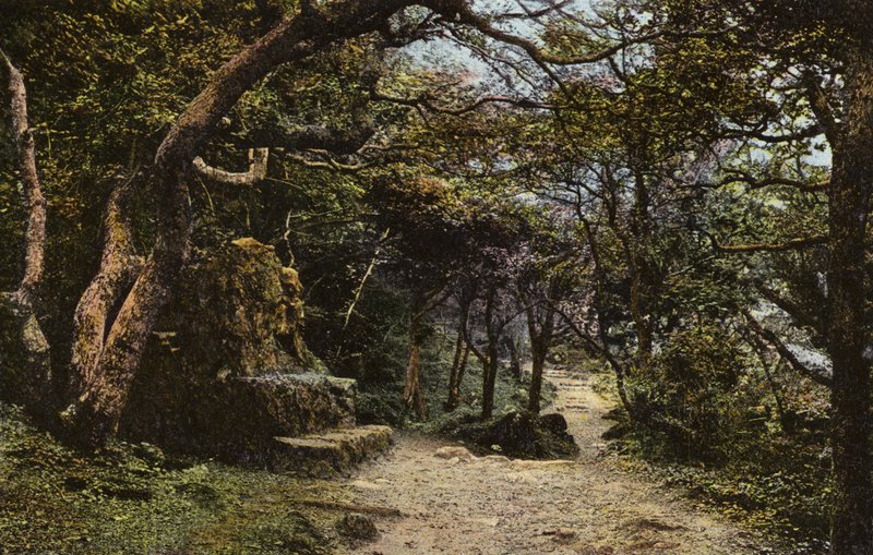 Stone Seat, the Landslip av English Photographer
