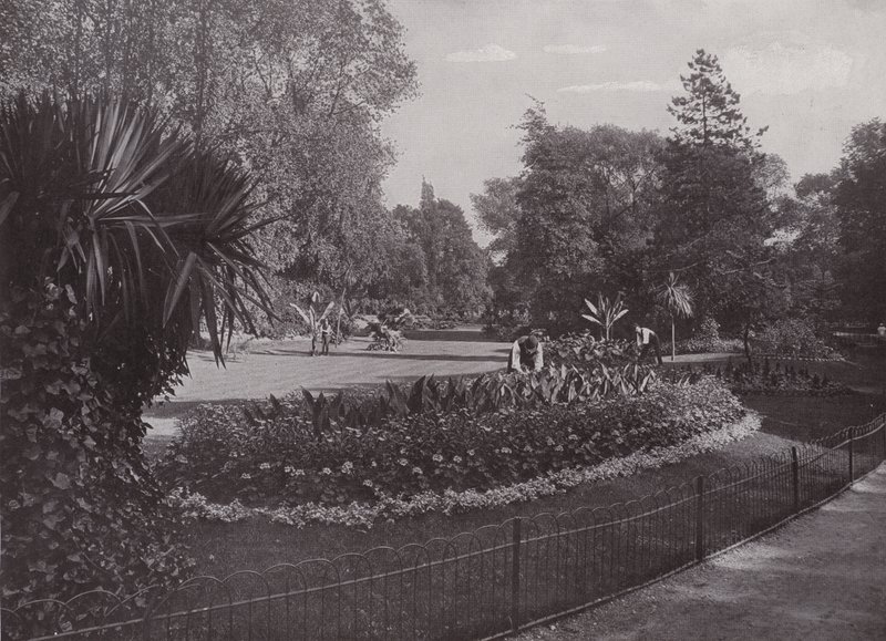 Sub-tropiske hager, Battersea Park av English Photographer