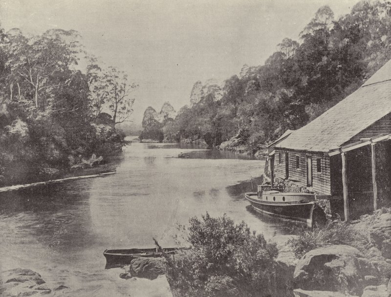 Supply River, Tasmania av English Photographer