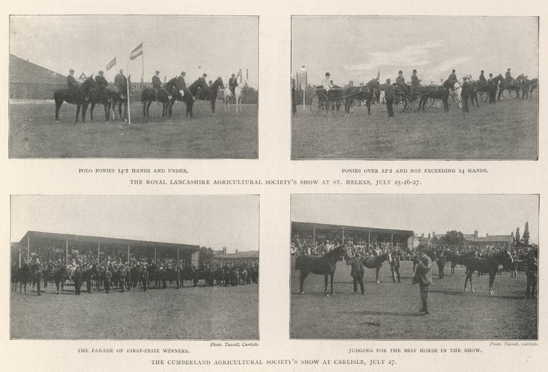 Agricultural Society Show av English Photographer