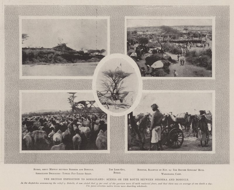 Den britiske ekspedisjonen til Somaliland, scene på ruten mellom Berbera og Bohotle av English Photographer