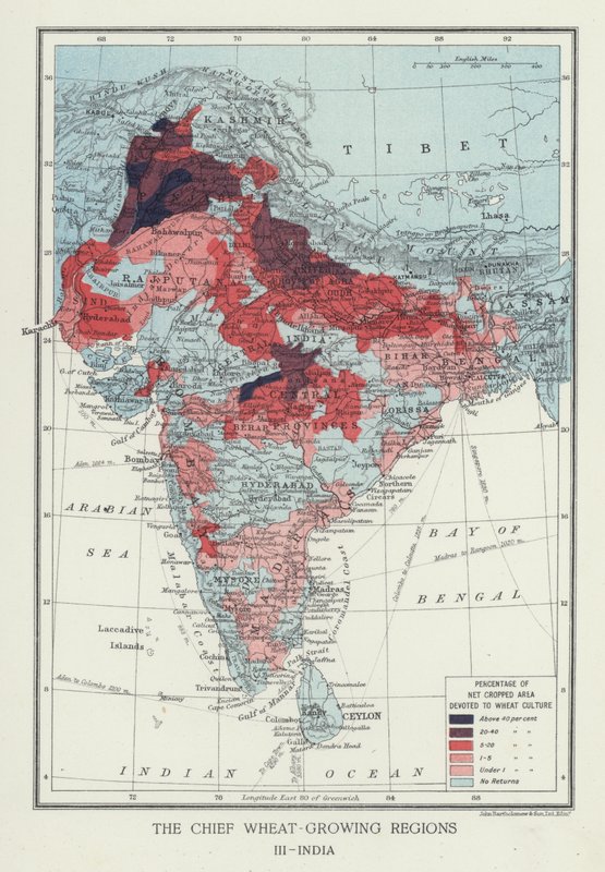 De viktigste hvetedyrkende regionene, India (bilde) av English Photographer