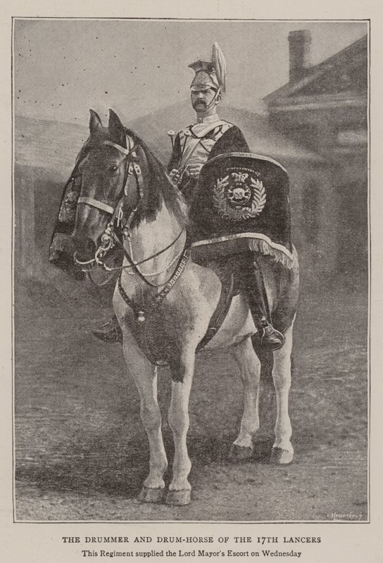 Trommeslageren og trommehesten til de 17. Lancers av English Photographer