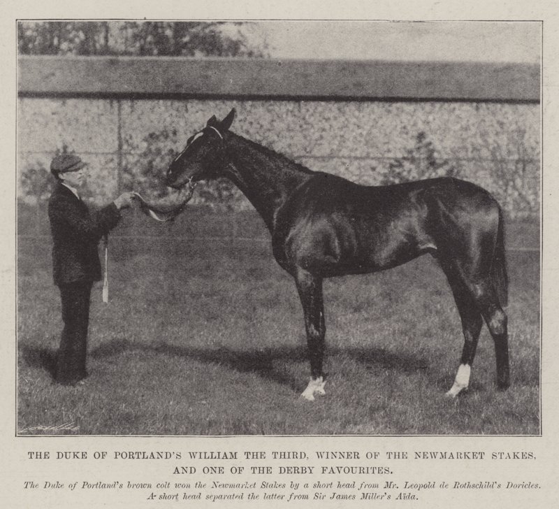 Hertugen av Portlands William den tredje, vinner av Newmarket Stakes, og en av Derby-favorittene av English Photographer