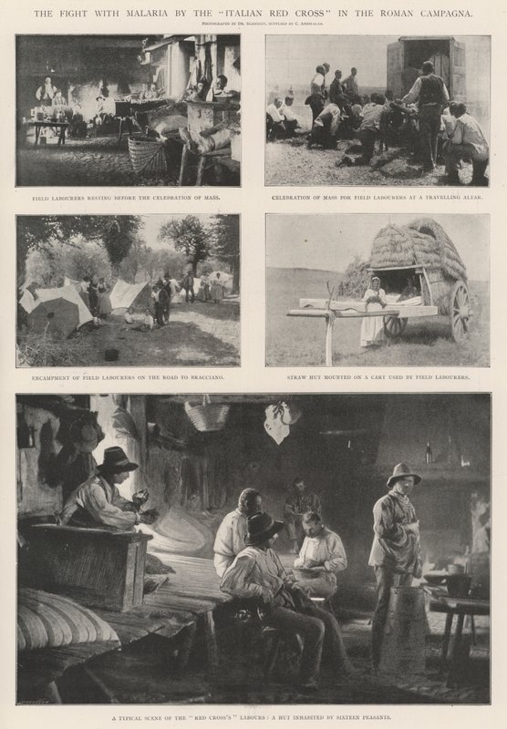Kampen mot malaria av det italienske Røde Kors i den romerske kampanjen av English Photographer